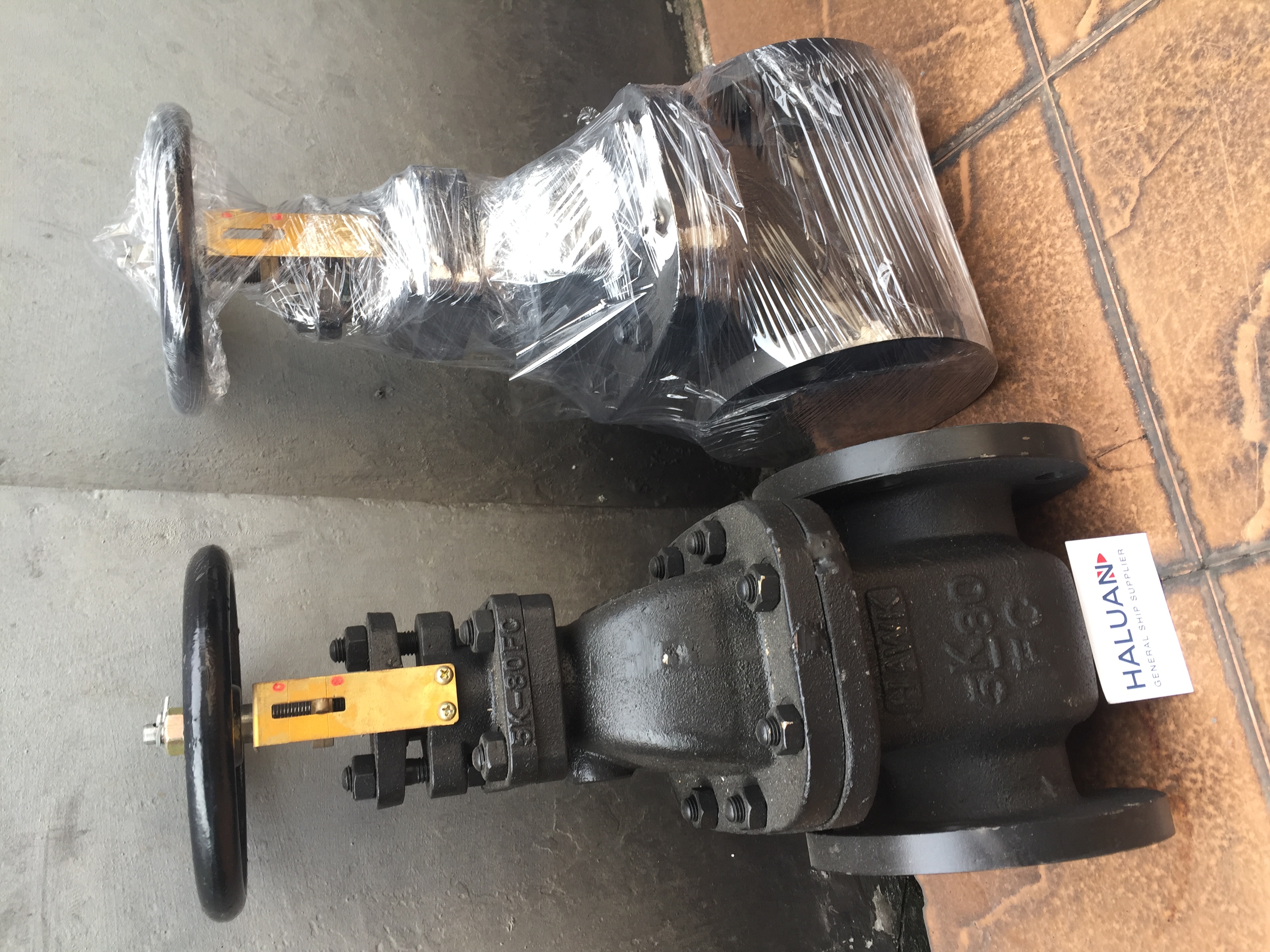 GATE VALVE CAST IRON F7363 5K-80MM 3