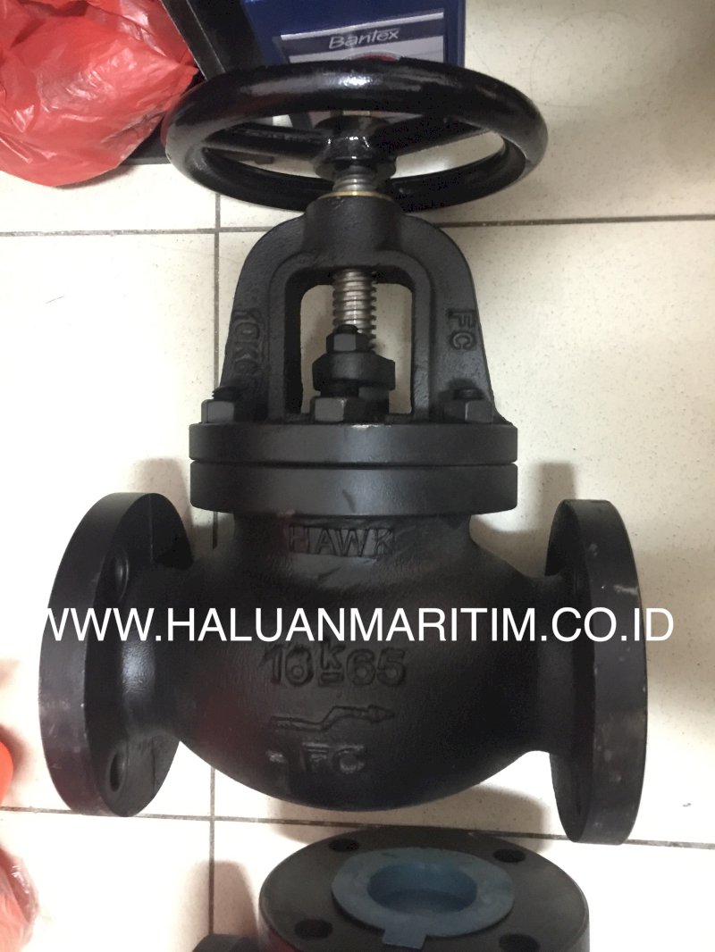 Globe Valve Cast Iron JIS 10K F7307 2.5